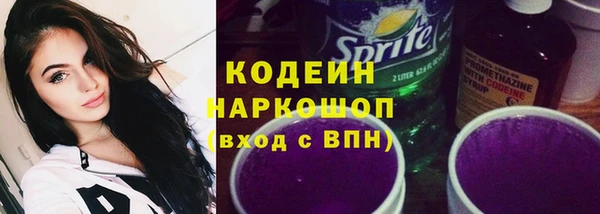 стаф Ростов