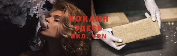 стаф Ростов