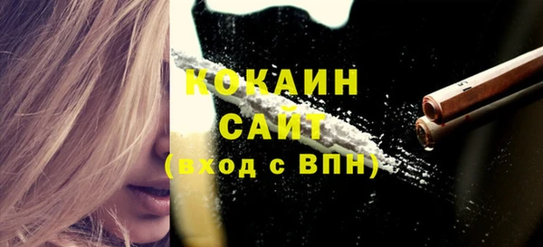 стаф Ростов