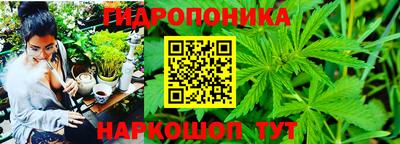 крисы Свободный