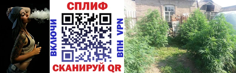 как найти блэк спрут ONION Марихуана гибрид Невинномысск